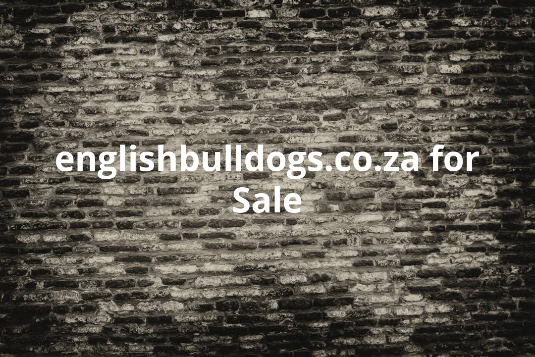 english bulldogs
