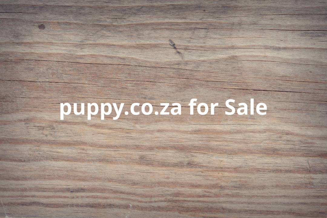 puppy